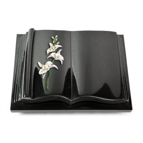 22 Grabbuch Antique/Indisch Black (Color Orchidee)