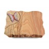 120 Grabplatte Folio/Rainbow (Color Papillon 1)